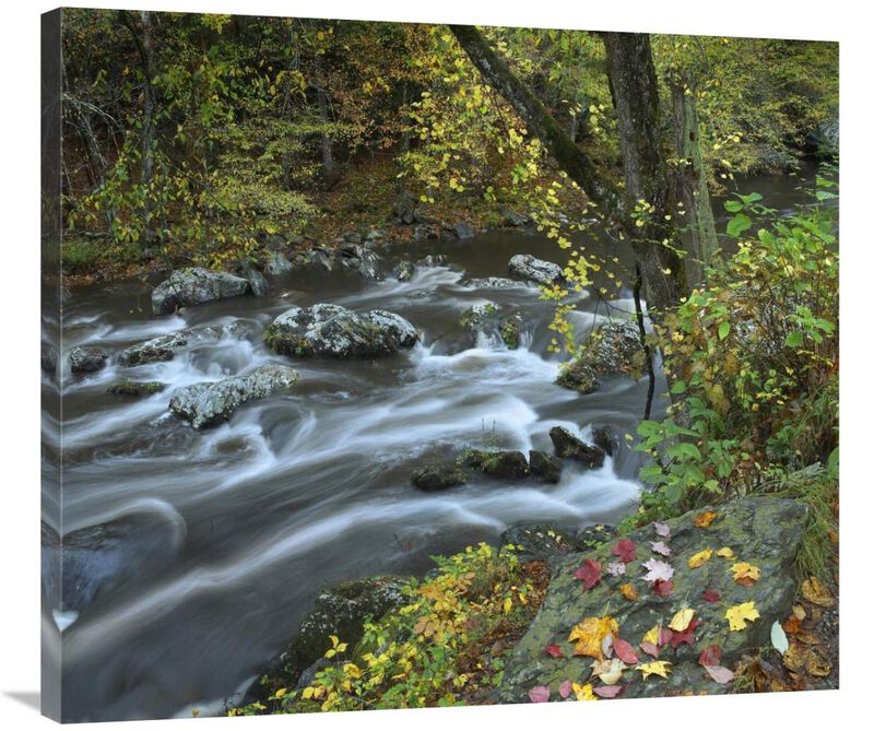 Little River, Great Smoky Mountains National Park, Tennessee-Canvas Art-36x31.68