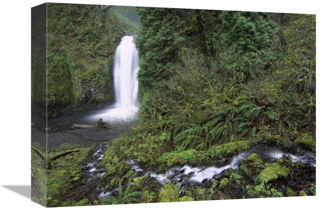 Multnomah Falls cascading through temperate rainforest, Columbia River Gorge near Portland, Oregon-Canvas Art-16x12