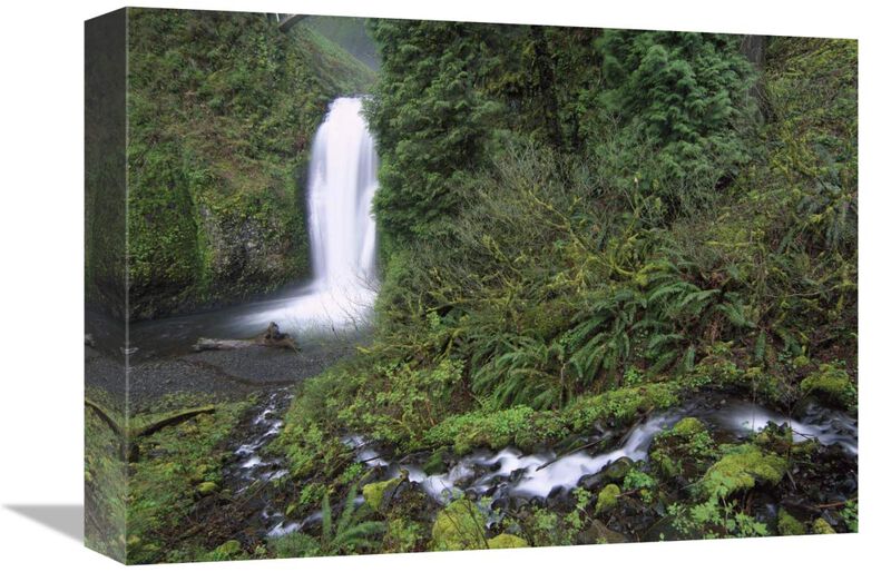 Multnomah Falls cascading through temperate rainforest, Columbia River Gorge near Portland, Oregon-Canvas Art-16x12