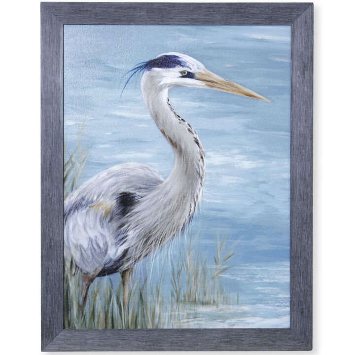 Great Blue Heron Gaze Framed Print