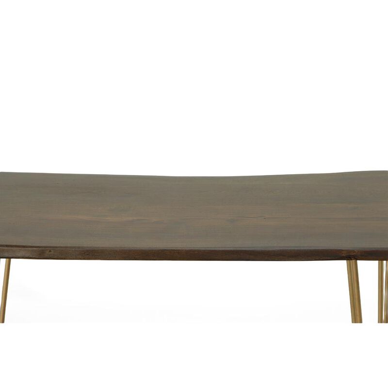 Carolina Living Seti Live Edge Bar Table - Elm Top - Gold Base