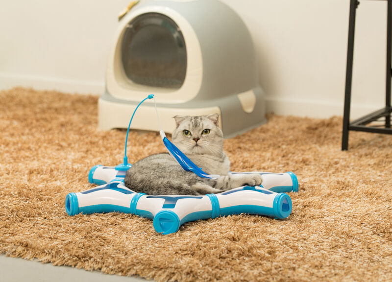 Configurable Interactive Cat Toy with Spring Feather Teaser