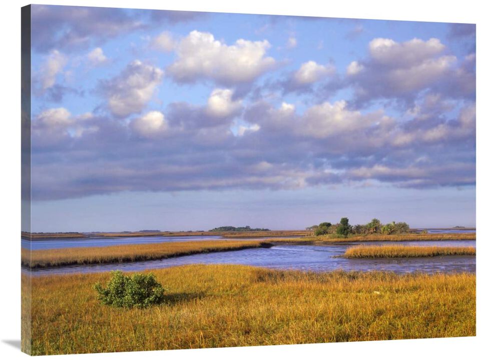 Saltwater marshes at Cedar Key, Florida-Canvas Art-40x30
