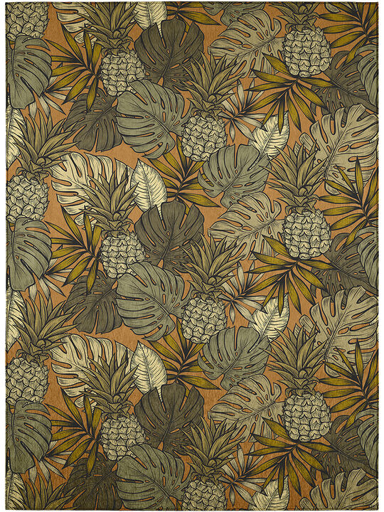 Tropics TC11 Clay 10' x 14' Rug