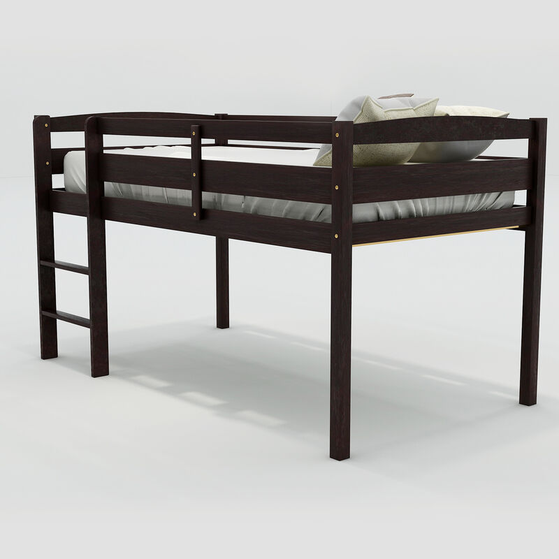 Twin Wood Loft Bed Low Loft Beds with Ladder, Twin