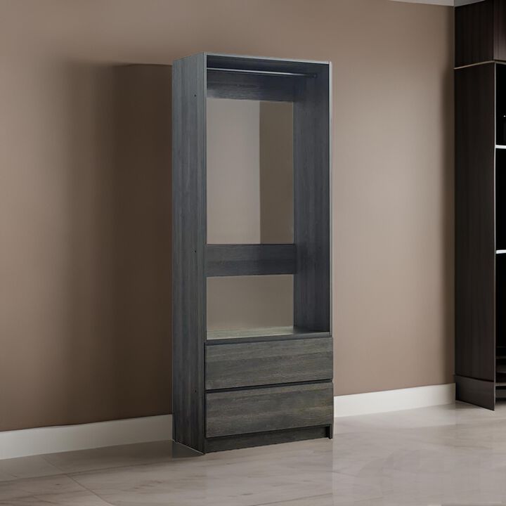 Dee Modular Closet System, 1 Metal Hanging Rod and 2 Drawer, Black Finish