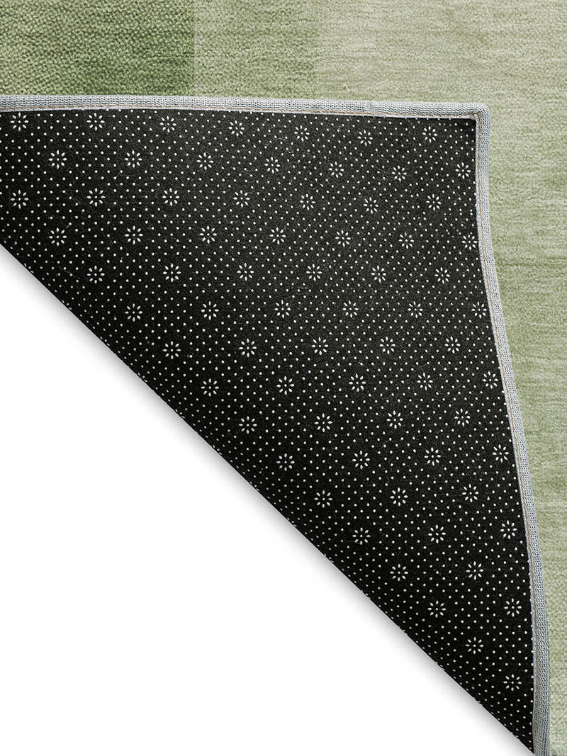 Pacifica PA5 Aloe 10' x 14' Rug