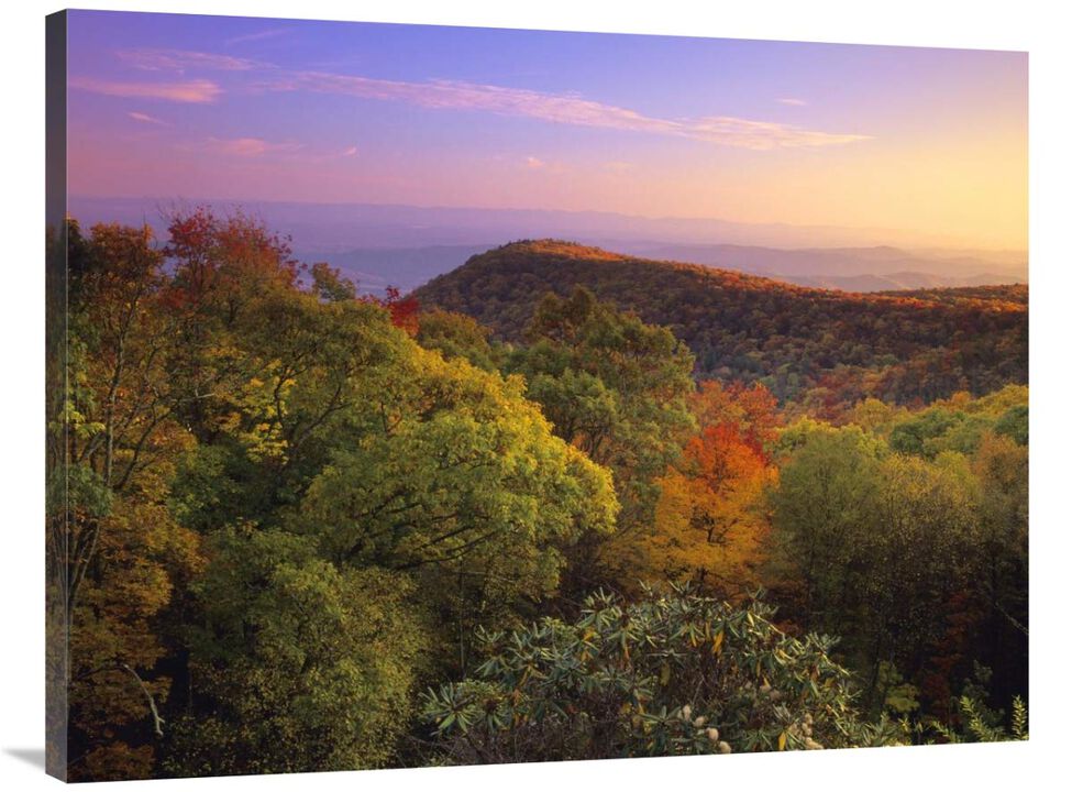 Blue Ridge Mountains with deciduous forests in autumn, North Carolina-Canvas Art-40x30