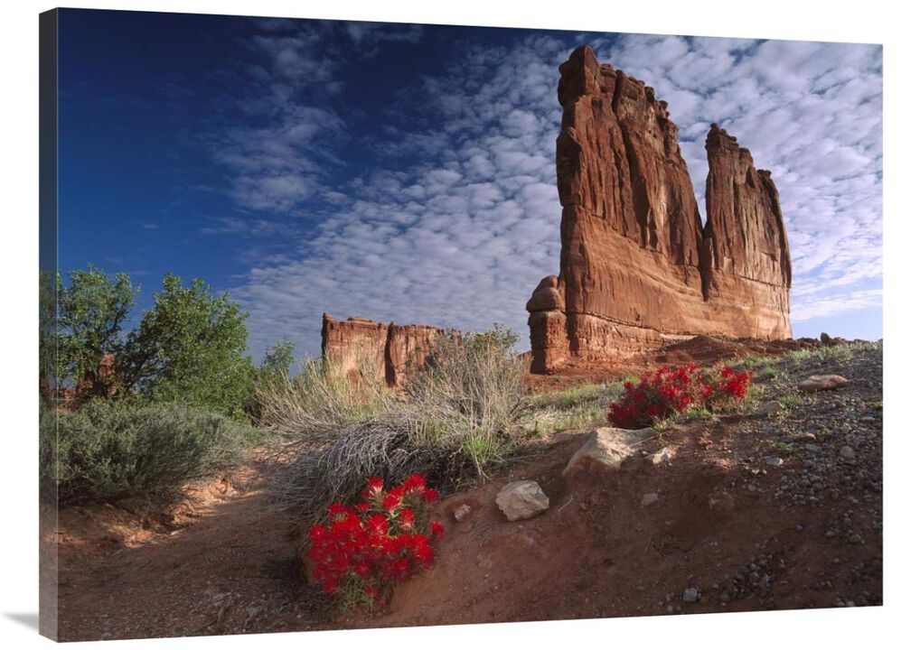 Paintbrush and the Organ Rock, Arches National Park, Utah-Canvas Art-40x30