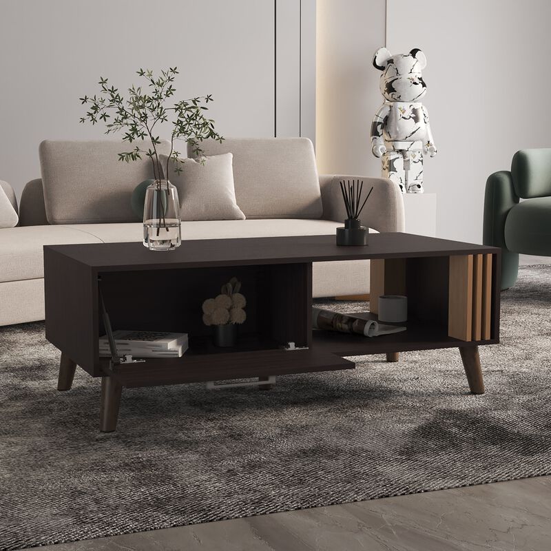 Lenoir Coffee Table, 1 Door, 1 Shelf, Black / Natural Oak