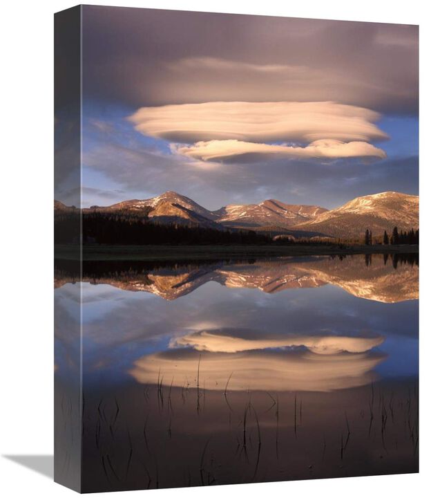 Lenticular clouds over Mt Dana, Mt Gibbs and Mammoth Peak reflected in flooded Tuolumne Meadows, Yosemite National Park, California-Canvas Art-12x16