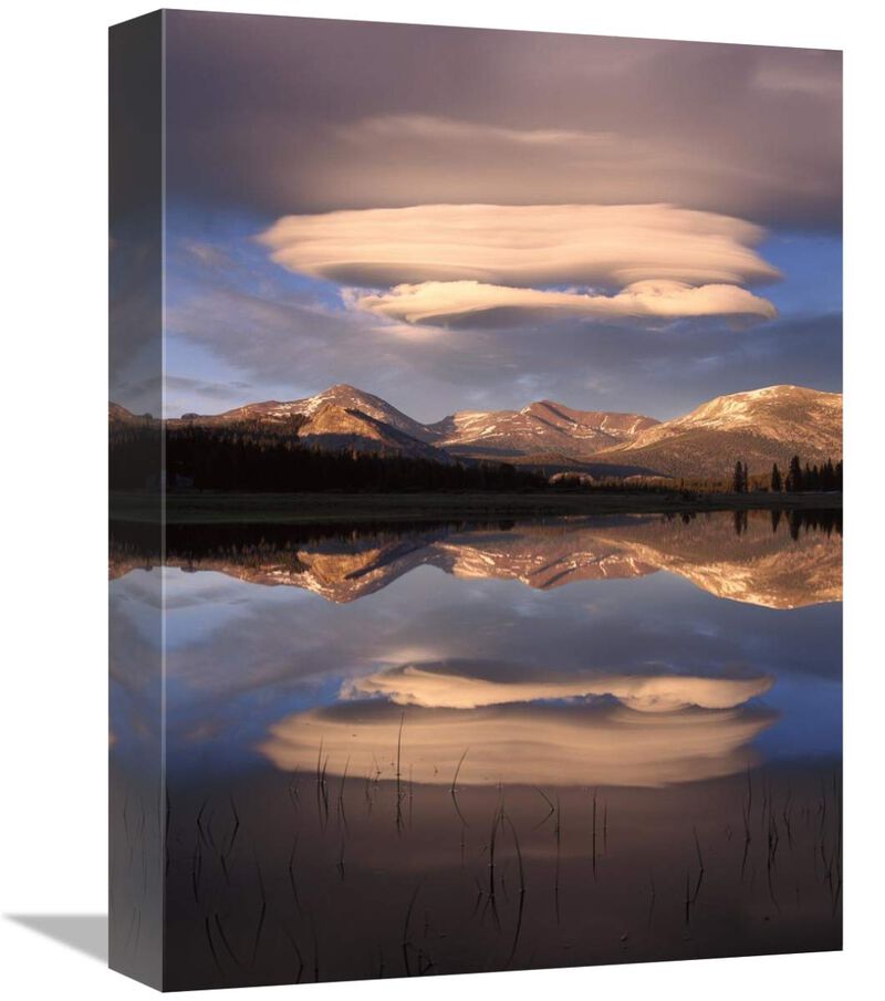 Lenticular clouds over Mt Dana, Mt Gibbs and Mammoth Peak reflected in flooded Tuolumne Meadows, Yosemite National Park, California-Canvas Art-12x16