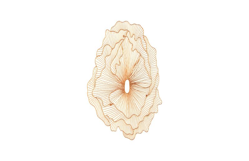 Poppy Flower Large Wall Art