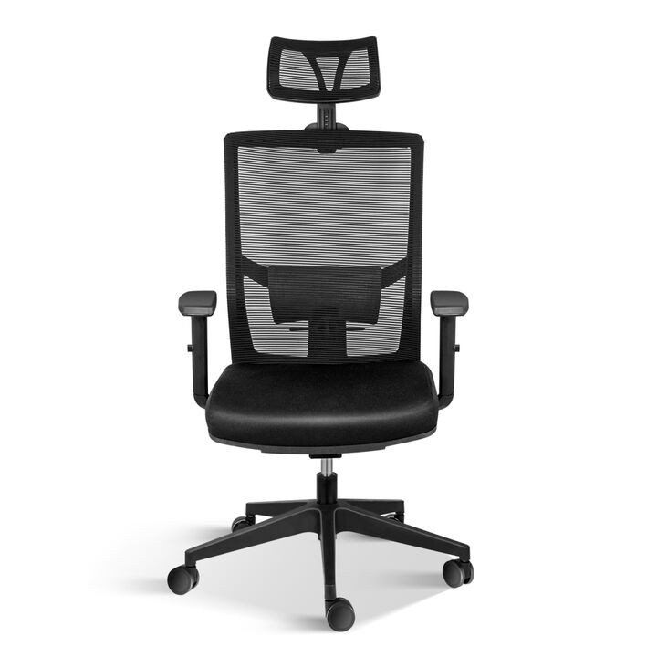 Office Ergonomic Mesh Computer Chair With Wheels & Arms & Lumbar Support, 02B, Black-Pro