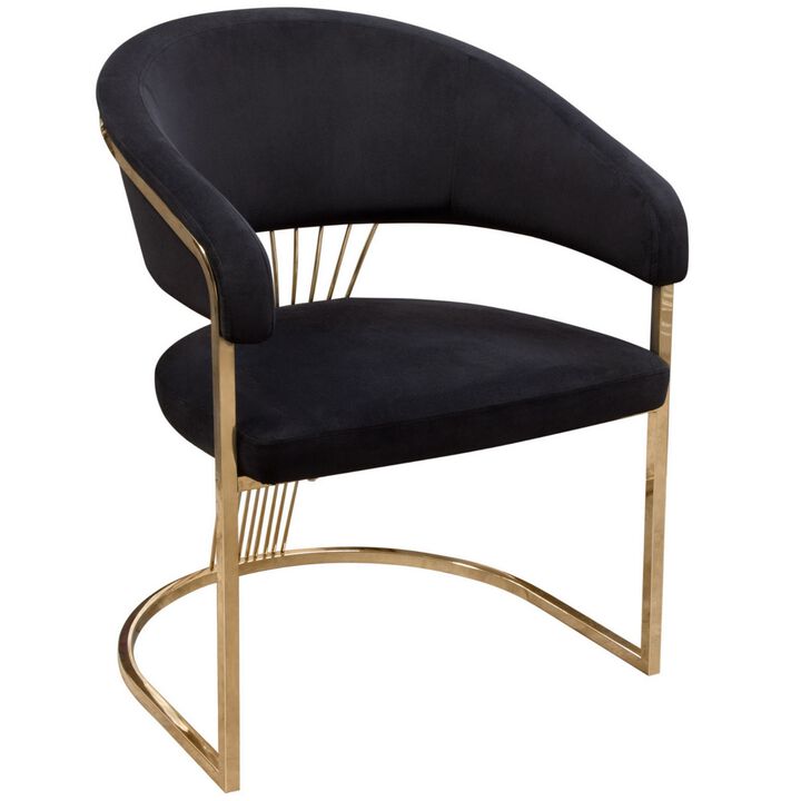 Emy 26 Inch Cantilever Barrel Dining Chair, Black Velvet Upholstery, Gold - Benzara