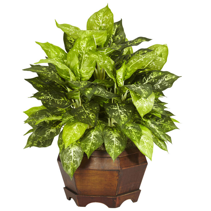 Hivvago Variegated Dieffenbachia w/Large Hexagon Silk Plant
