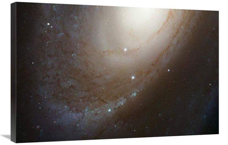HST ACS Image of M81-Canvas Art-36x24