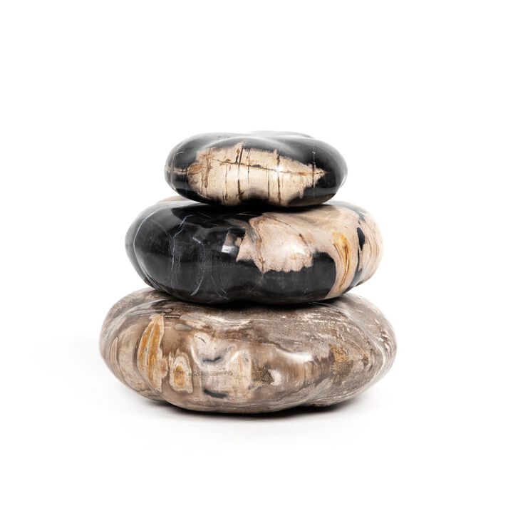 Petrified Wood Sculpture