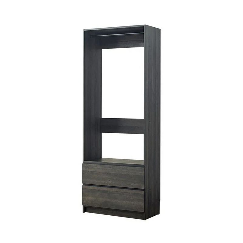 Dee Modular Closet System, 1 Metal Hanging Rod and 2 Drawer, Black Finish