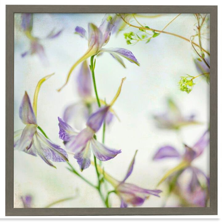Gentle Dance I Framed Print