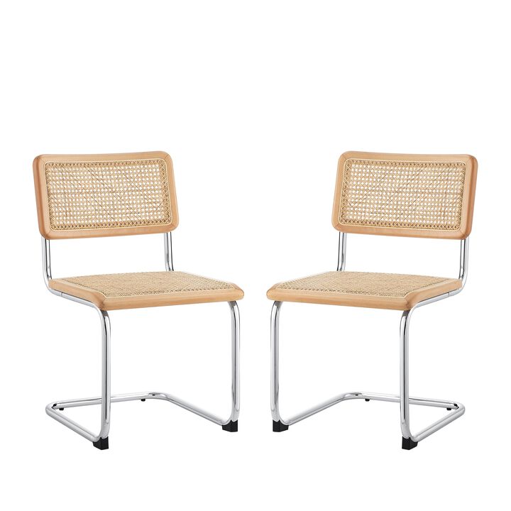 Loft Lyfe Ericka  Dining Chair (Set of 2)