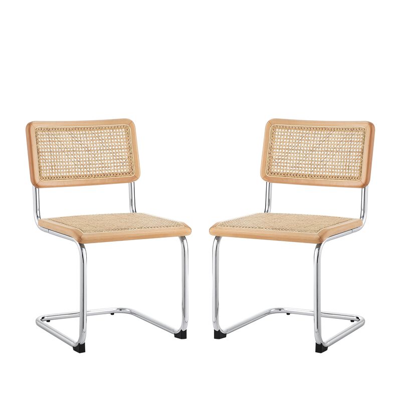 Loft Lyfe Ericka  Dining Chair (Set of 2)