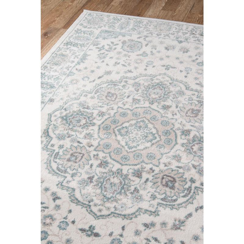Momeni Traditional Rectangle Area Rug, Ivory, 9'3 X 12'6