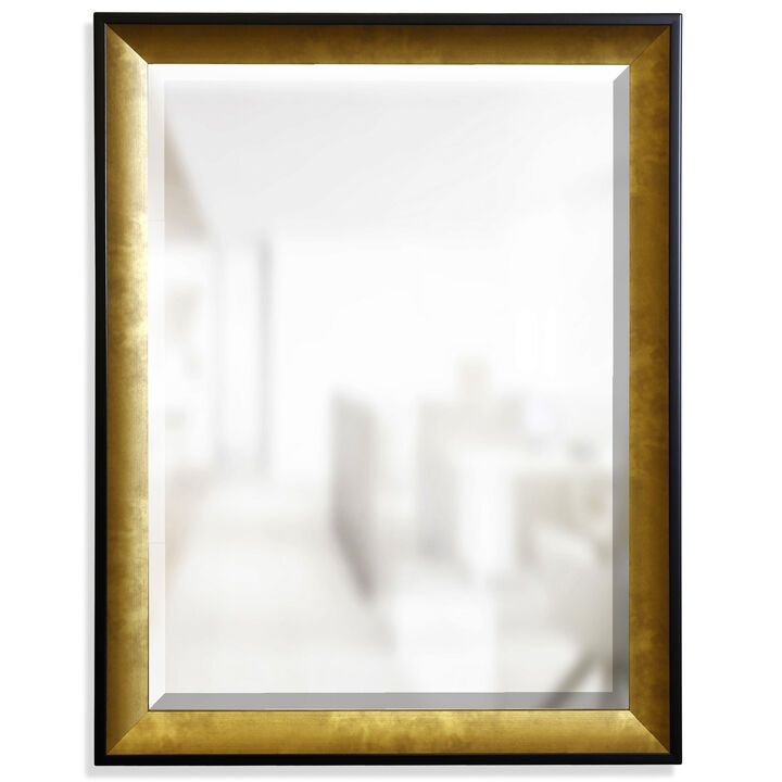 Framed Mirror VIII