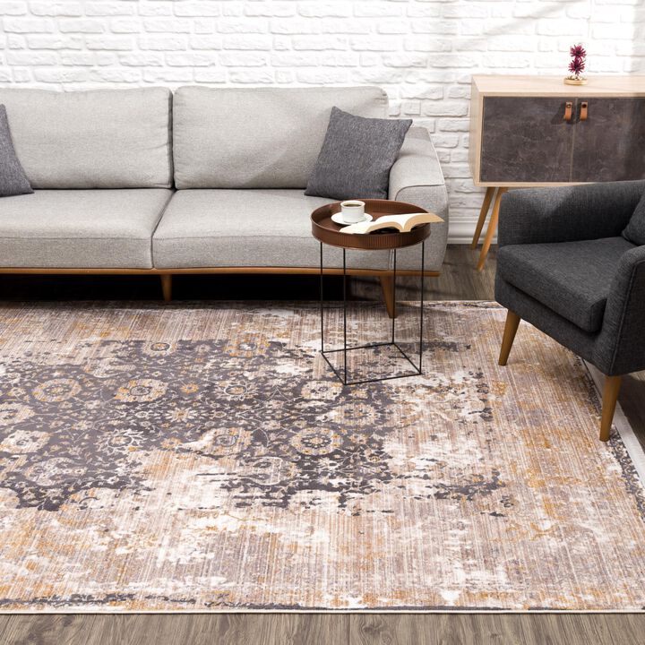 Amalfi Transitional Vintage Classic Grey Beige Indoor Area Rug