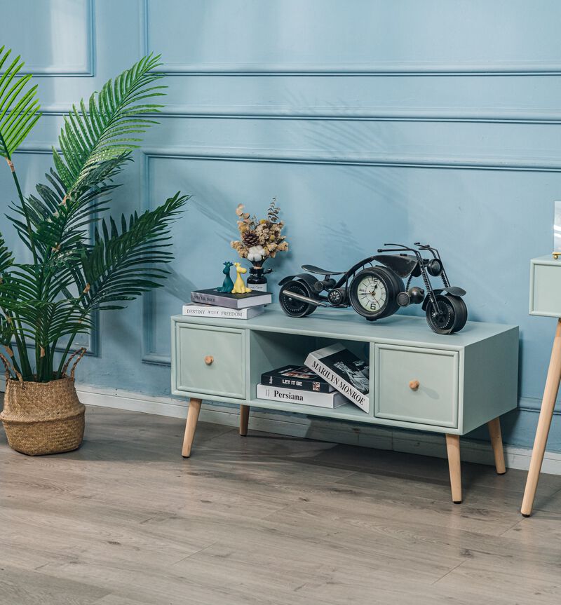 Scandinavian Solid Wood TV Stand with 2 Drawers