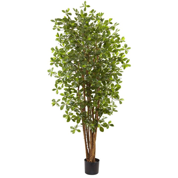 Nearly Natural 6-ft Black Olive Tree w/940 Lvs