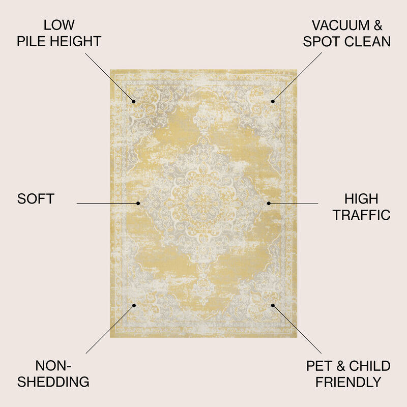 Alhambra Ornate Medallion Modern Area Rug