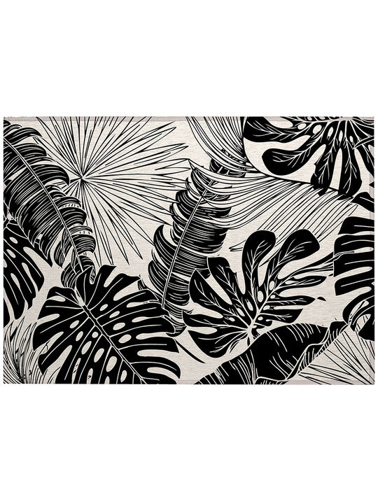 Tropics TC16 Collection