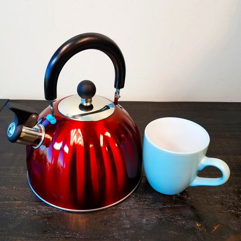 Mr. Coffee Twining 2.1 Quart Pumpkin Tea Kettle in Red