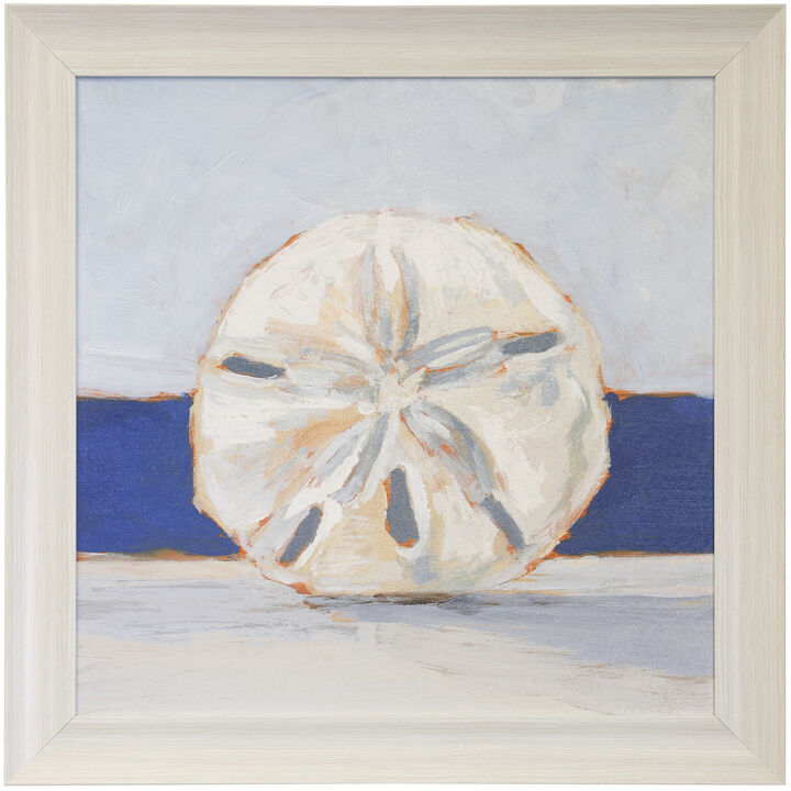 Sand Dollar