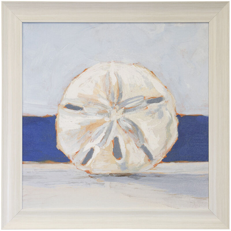 Sand Dollar