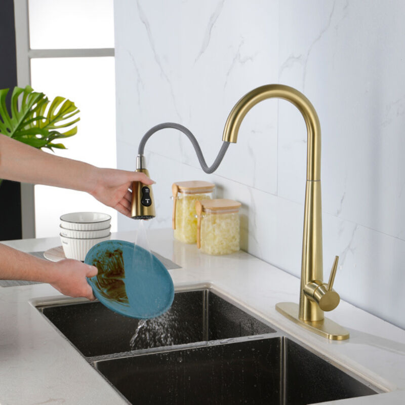Kitchen Sink Faucet with Pull-Out Sprayer, Single Handle, Fingerprint-Resistant Finish