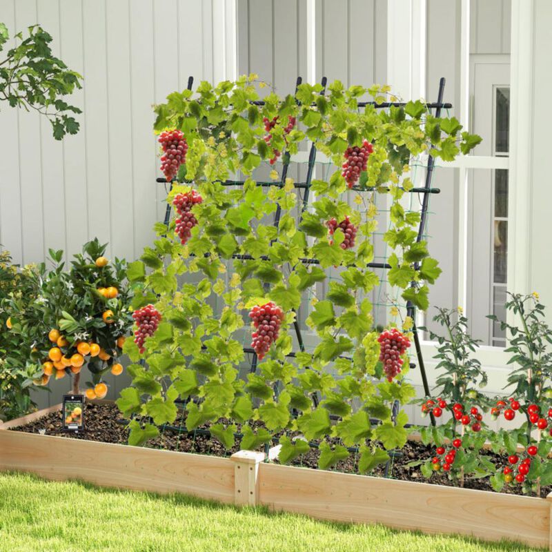 Hivvago 74 Inch Garden Cucumber Trellis with PE-Coated Frame for Climbing Plants