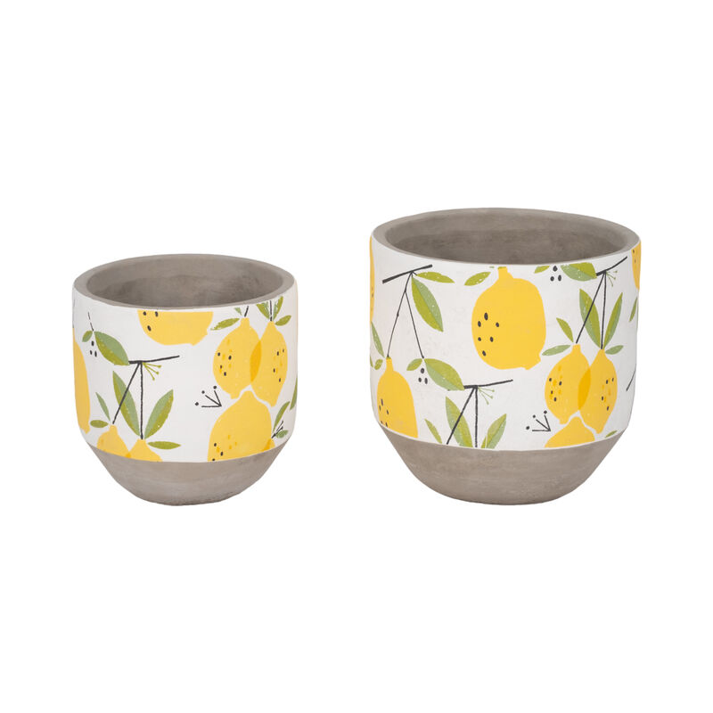 Growing Lemons Planter