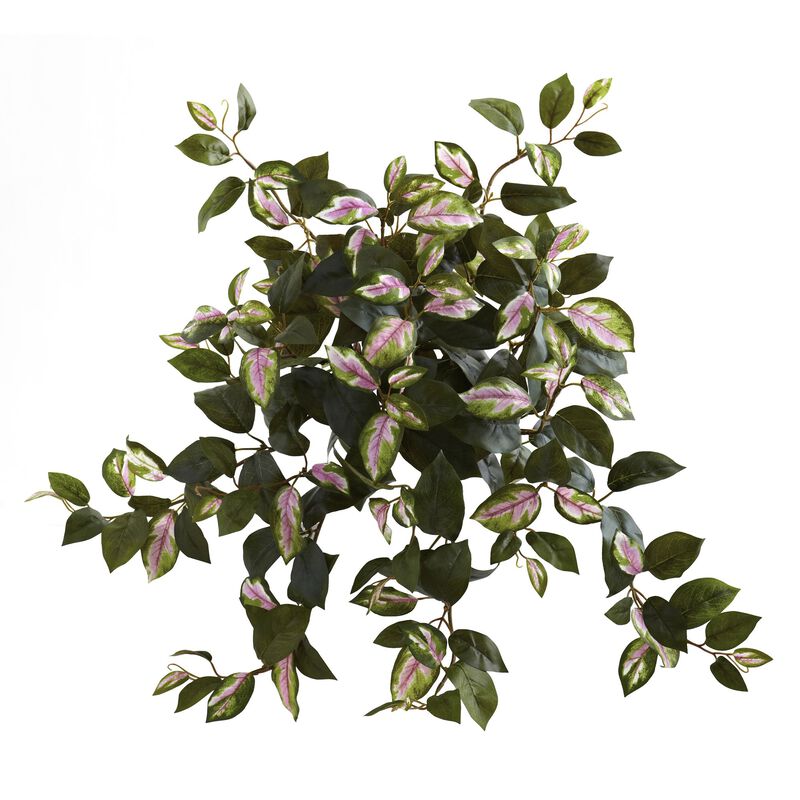 Hivvago Hoya Hanging Bush (Set of 4)