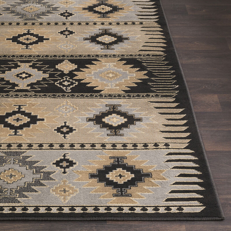 Paramount PAR-1046 8'10' x 12'10' Black Rug