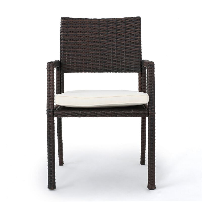 Roeh Outdoor Dining Chair Set of 2, Contemporary Wicker and Brown Fabric