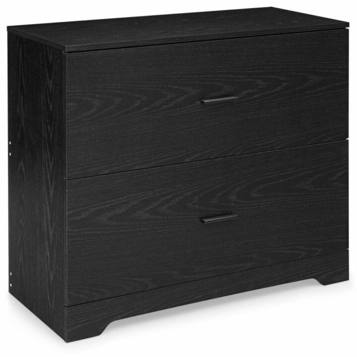Hivvago 2-Drawer Lateral File Cabinet with Adjustable Bars for Home and Office-Black