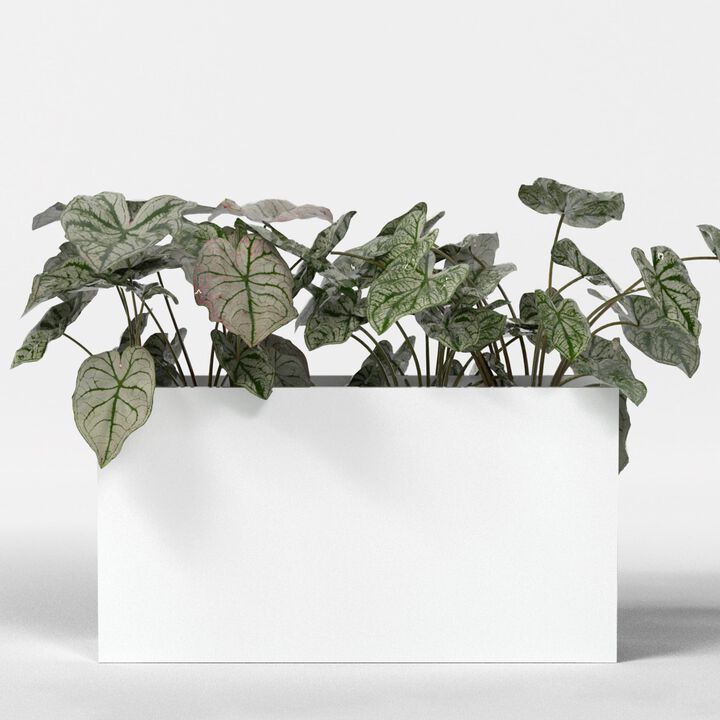Greenline Fiberglass Alice Extra Large Indoor/Outdoor Rectangle Planter - 60 in x 16 in x 32 in - Matte White