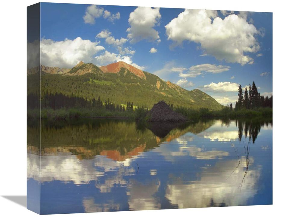 Avery Peak reflected in beaver pond, San Juan Mountains, Colorado-Canvas Art-16x14.08