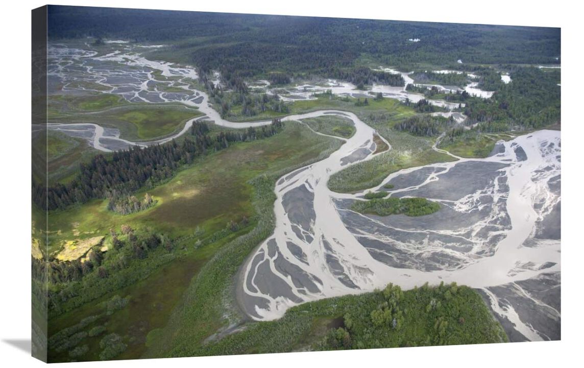 Kwik Stream in taiga, Wrangell-St. Elias National Park, Alaska-Canvas Art-30x20