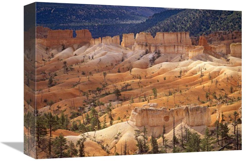 Landscape of eroded formations called hoodoos and fins, Bryce Canyon National Park, Utah-Canvas Art-16x12