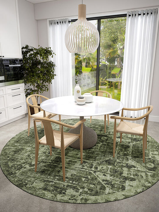 Aberdeen AB2 Cactus 8' Rug