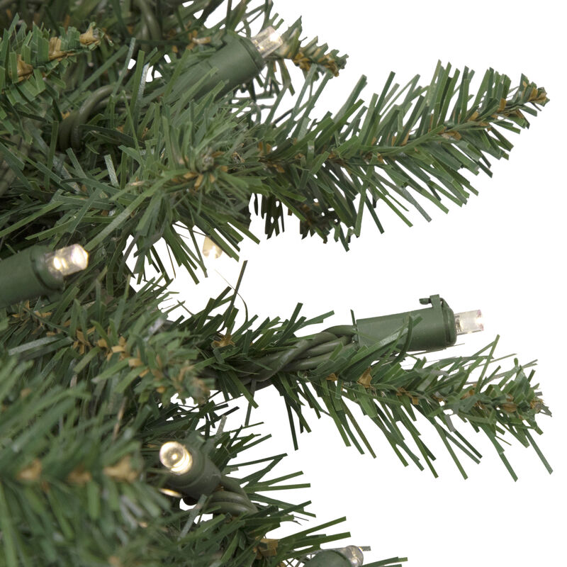 Pre-Lit Winona Fir Artificial Christmas Wreath  24-Inch  Warm White LED Lights