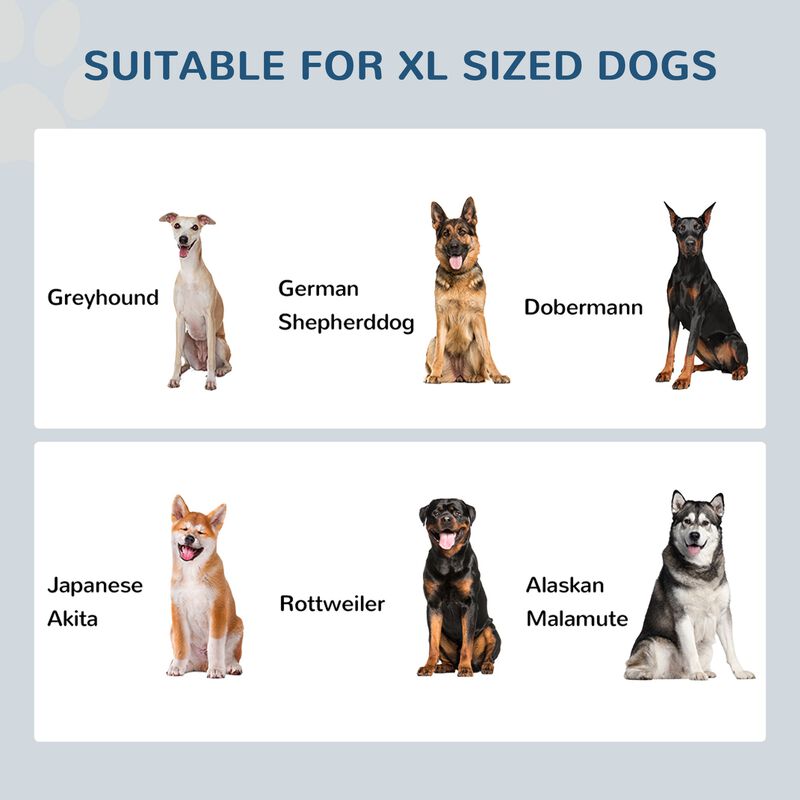 Gray Pet Dining Station: Raised Feeder with Storage for Large Dogs